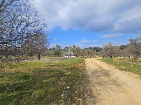 Ön Emlak'tan Pelitköyde 370 M2 Müstakil Villa Arsası