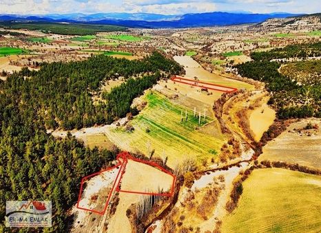 Selendi'de Mükemmel Lokasyon -çay Kenarı- 3 Parça 7674 M2 Tarla