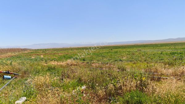 K.ereğli Zengende 96 Dönüm Verimli Sulak Satılık Tarla