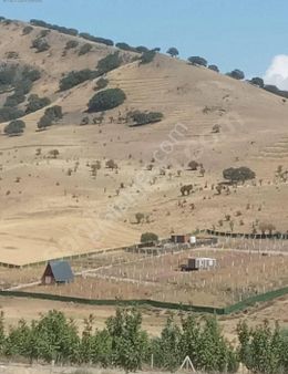 Akif'ten Ayaş Gökler Köyün'de 300 M2 Satılık Hobi Bahçesi