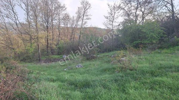 Tek İşim Gayrimenkul'den: 3.108 M² Satılık Yatırımlık Tarla