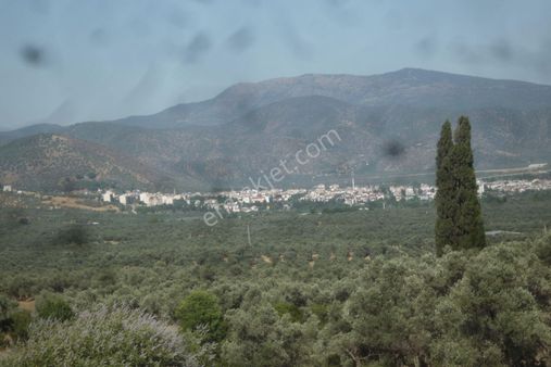 İzmir Torbalı Gold Emlaktan Satılık Avlulu Kargil Ev