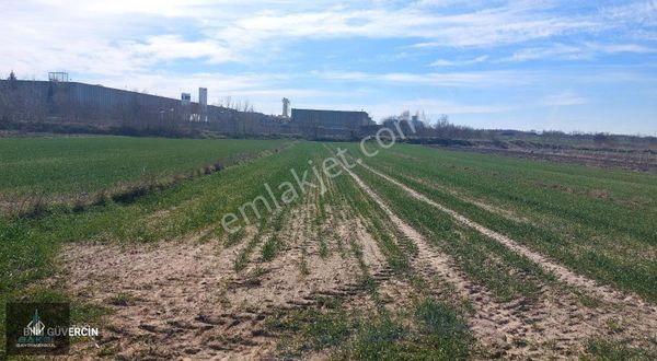 Tekirdağ Saray Beyazköy Çaplı Satılık Arsa