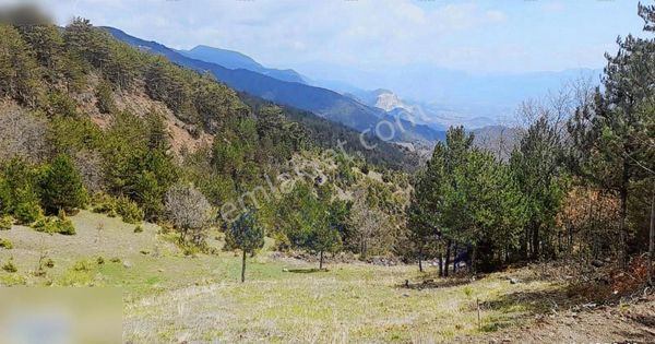 Pamukova Çilekli'de Resmi Yollu Oksijen Deposu 1590 M2 Tarla