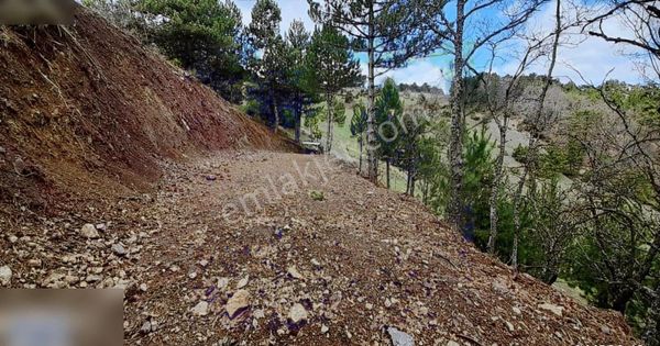 Pamukova Çilekli'de Resmi Yol Su 1050m2 Manzaralı Tarla