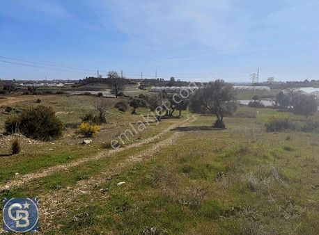 Karacalar Da 827 M2 Tek Tapu Satılık Tarla