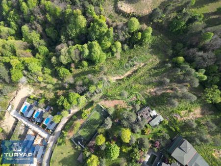 Turyaptan Sapanca Mahmudiyede Cazip Fiyata İmarlı Kupon Arsa