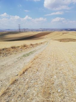 Kutludüğün De Satılık Arsa