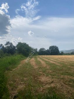 Milas Eğridere’de Satılık Yolu Olan Tarla