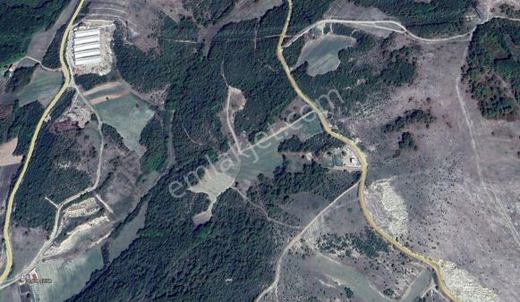 Güvenli Bir Yaşam İçin Fırsat Tarla