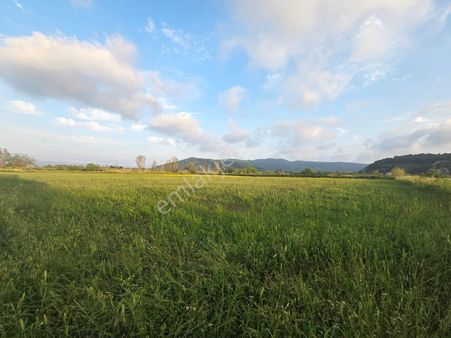 Güzelyurt'ta 11.000 M2 Tek Tapu Tarla Satılık