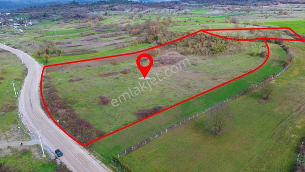 Bursa Mustafakemalpaşa Döllük Mahallesi Satılık Çiftlik Arazisi