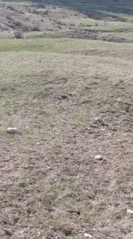 Sertaç Gayrimenkulden Satılık Tarla