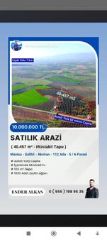 Manisa Salşhli Satılık Zeytinlik