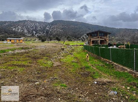 Milas Çamköy Çıkışı Kayaderesı Gökbelde Asvlatta Sıfır Tarla