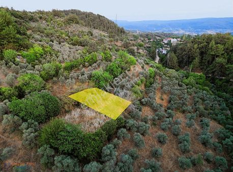 Muğla Menteşe Yeniköy Mahallesinde Yatırımlık Tarla