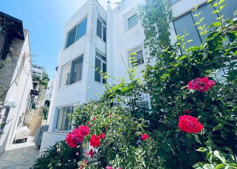 Bodrum Turgutreis Daire Fiyatına Deniz Manzaralı Villa