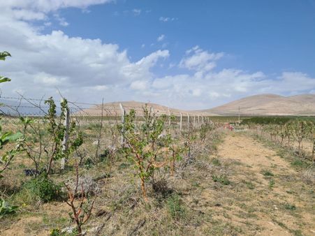 Sazlıca Yenide 4800 M2 Satılık Bahçeli Ev...