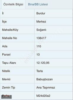 Burdur Merkez Soğanlı 12121m2 Yatırımlık Tarla.araç Takaslı