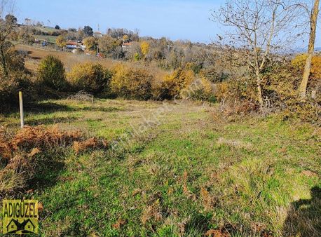 Kandıra Balcıda 1164m² Köyiçi Arsa