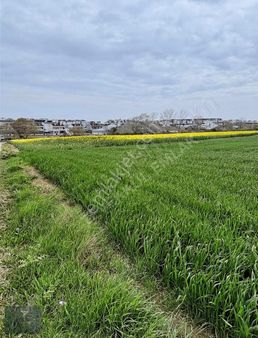 Tekirdağ Çeşmeli Deniz Manzaralı Kupon Yer