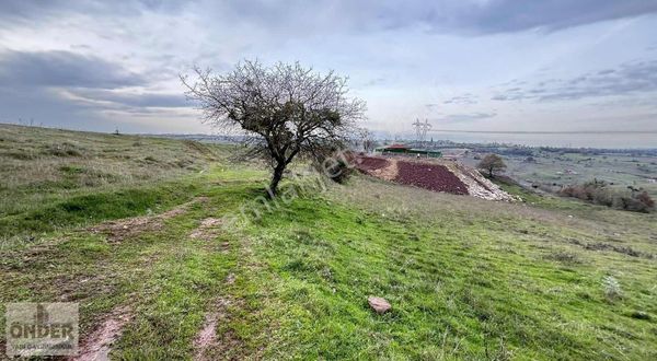 Gebze Mollafenari Akviran Köyünde 420 M Satılık Arazi