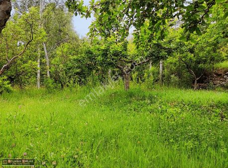 Erenkayanın En Güzel Bahçelik Yeri