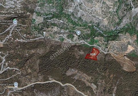 Acil Satılık Alanya Süleymanlar 9.600 M² Tarla