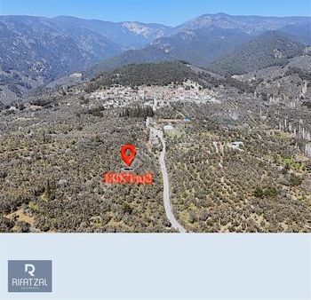 Edremit Beyoba Mah. Yol Cepheli 13791 M2 Satılık Zeytinlik