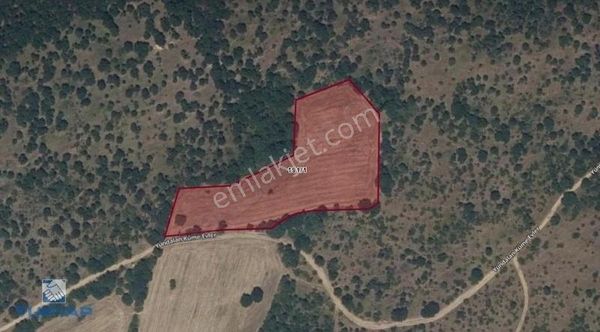 Kırklareli Merkez Yündalan 10.450m2 Satılık Tarla