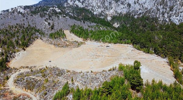 Antalya Gazipaşa Da 55.000m2 Kurulu Düzen Bahçe