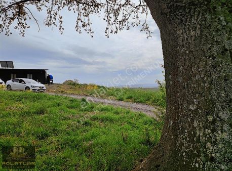 Sakarya Elmalı 1480 M2 Resmi Yola Cepheli Köyiçi İmarlı