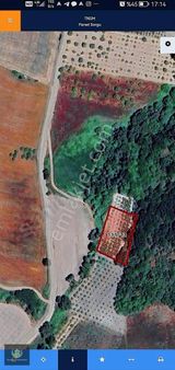 Mudanya'da Satılık 1.750 M2 Tarla