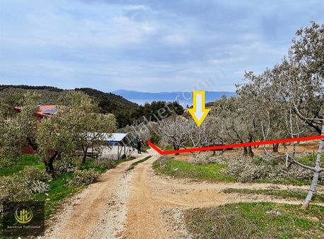 Altıntaş'ta Deniz Manzaralı 1 Dönüm Fırsat Hobi Bahçesi