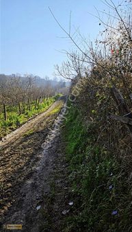 Yeni Mahallde Yerleşim Alanına Yakın Doğa İçerisinde Arazi
