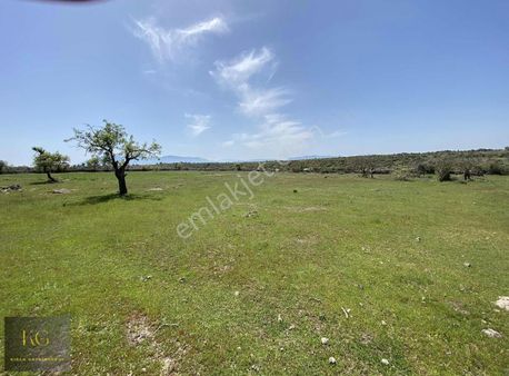 Manisa Yunusemre Karakılınçlı 11200 Metre Kare Tarla