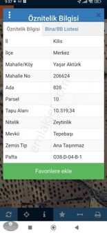 Ncr'den Kilis Merkez Tapulu Asfaltan 1 İçeri Satılık Zeytinlik
