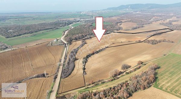 Bahçeköy Resmi Yola Cepheli Satılık 60.000 M2 Tarla