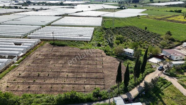 İzmir Değirmenderede Satılık Tektapu 3.000 M2 Yatırımlık Arazi