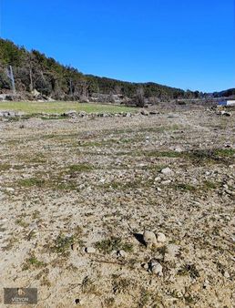 Vizyon Gayrimenkul'den Çardak'ta Satılık 5230m2 Tek Tapu Tarla