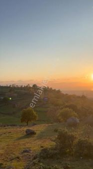 Buse Emlaktan Havran Kocadağda Full Deniz Manzaralı Tarla