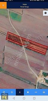 Ferizli Merkeze Çok Yakın 1754 Ve 1755 Parsel Tarla Satılıktır