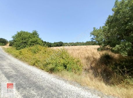 Çanakkale Lapseki Umurbey Satılık Yatırımlık Yol Kenarı Tarla