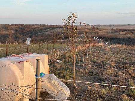 Taksit İmkanı Var Meraya Cephe Satılık Tarla