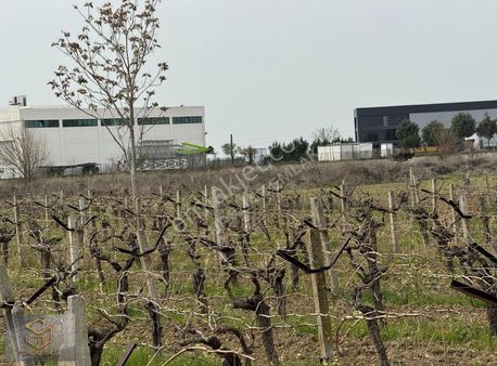 Menemen Çavuşköy De Çanakkale Yoluna 250 M Satılık Tarla