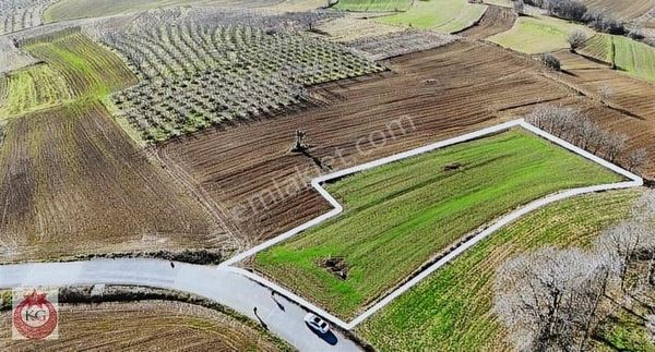 Kandıra Döngelli Mahallesi Satılık Asfalt Cephe %5 İmarlı Arazi