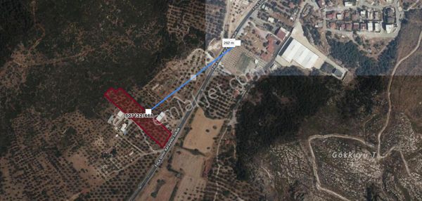 İzmir Ilıpınar'da Eski Foça'ya 20 Dk Mesafede Satılık Tarla