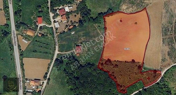 Ar-han Emlak'tan Sütlüce'de Satılık Fındık Tarlası!