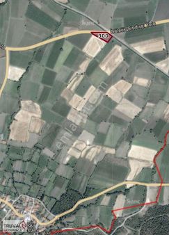 Truva Gayrimenkul Den 4 Yol Ağzı Cadde Cepheli 1950m2 Kızıgürde