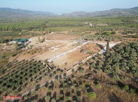 Söke Emlak Ofisinden Kuşadası Çınar, Da Satılık Tarla Hissesi